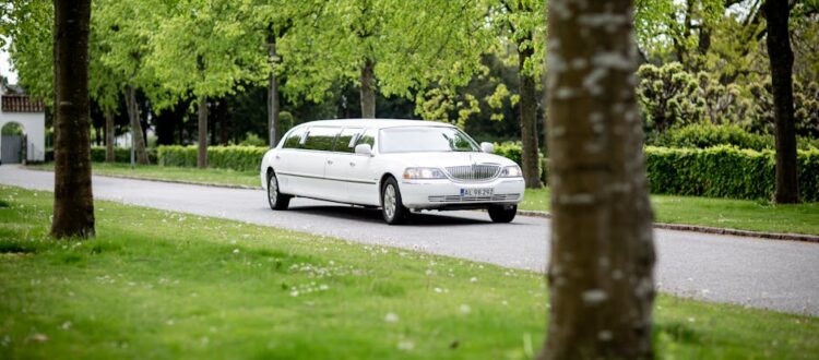 rent a limo for a day