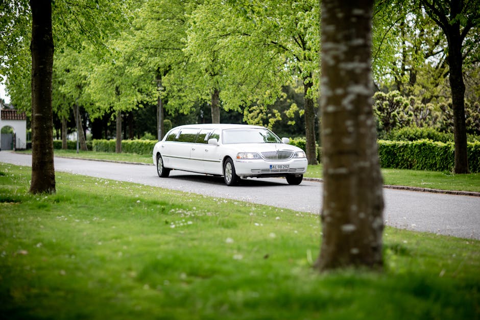 rent a limo for a day